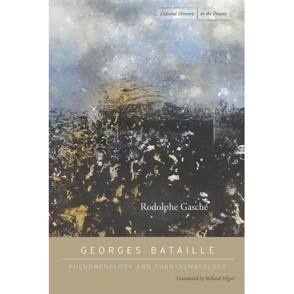 Georges Bataille: Phenomenology and Phantasmatology - Paperback
