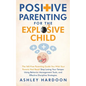 Positive Parenting for the Explosive Child - Paperback