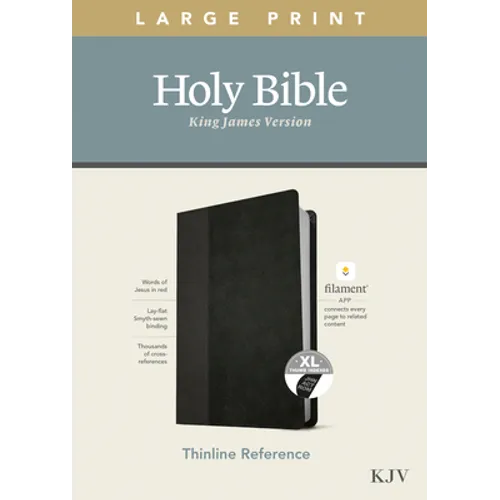 KJV Large Print Thinline Reference Bible, Filament Enabled Edition (Red Letter, Leatherlike, Black/Onyx, Indexed) - Imitation Leather