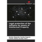 Legal protection of the software by means of Intellectual Property - Paperback