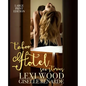 Taboo Hotel Sex Stories Large Print Edition - Paperback