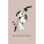 Anatomy - Paperback