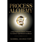 Process Alchemy: Using Employee-Driven Solutions To Achieve Operational Excellence - Paperback