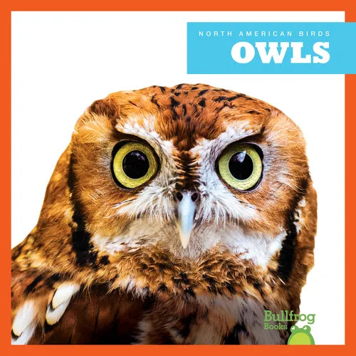Owls - Library Binding