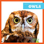 Owls - Library Binding