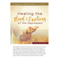 Healing the Mind and Emotions of the Oppressed Study Guide - Paperback