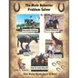 The Mule Behavior Problem Solver: How Mules Think, Learn and React - Paperback