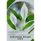 Japanese Peace Lily: Plant Guide - Paperback