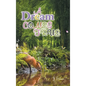 A Dream Comes True - Hardcover