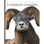 El Borrego Cimarrón - Library Binding