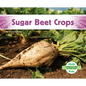 Sugar Beet Crops - Library Binding