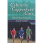 Cabin On Copperhead Cove: A Bon Air Boys Adventure - Paperback