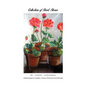 Collection of Short Stories - Paperback