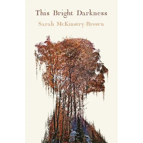 This Bright Darkness - Paperback