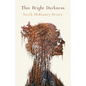 This Bright Darkness - Paperback