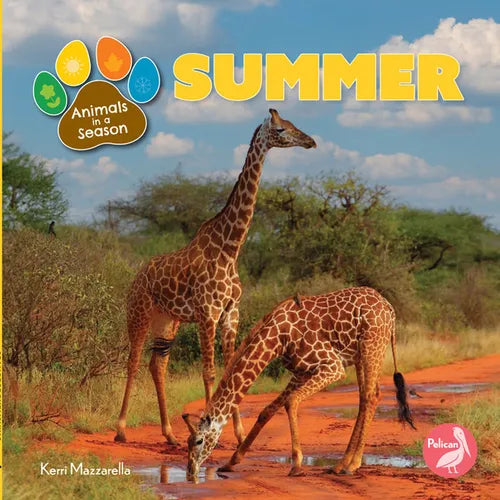 Summer - Paperback