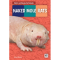 Naked Mole Rats - Library Binding