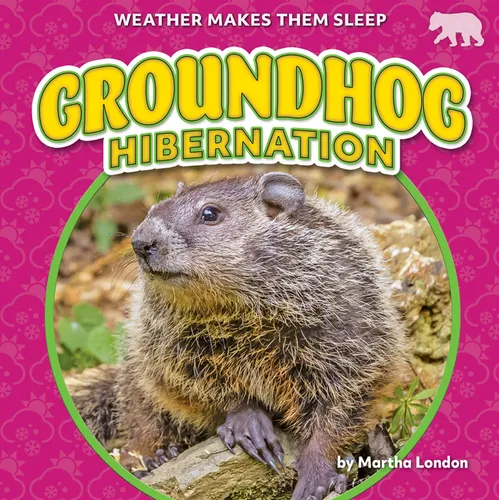 Groundhog Hibernation - Library Binding