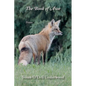 The Book of Awe - Paperback