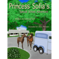 Princess Sofia's Special School Adventure - Hardcover