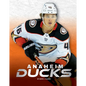 Anaheim Ducks - Paperback