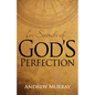 In Search of God's Perfection - Paperback