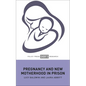Pregnancy and New Motherhood in Prison - Hardcover