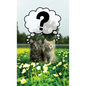 Discrete Password Logbook: "Kitty Cats" Edition - Hardcover