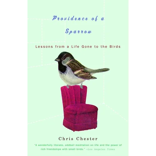Providence of a Sparrow: Lessons from a Life Gone to the Birds - Paperback
