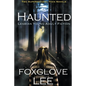 Haunted Lesbian Young Adult Fiction: Two Supernatural Teen Novels - Paperback