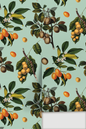 Vintage Orchard Wallpaper, robin egg