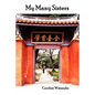My Many Sisters, the Journal of a Volunteer with the Daughters of Charity - Paperback