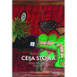 Roma Artist Ceija Stojka: What Should I Be Afraid Of? - Hardcover