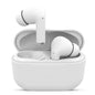 Naztech Xpods Pro True Wireless Earbuds & Charging Case