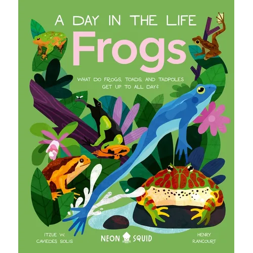 Frogs (a Day in the Life): What Do Frogs, Toads, and Tadpoles Get Up to All Day? - Hardcover