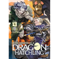 Reincarnated as a Dragon Hatchling (Light Novel) Vol. 4 - Paperback