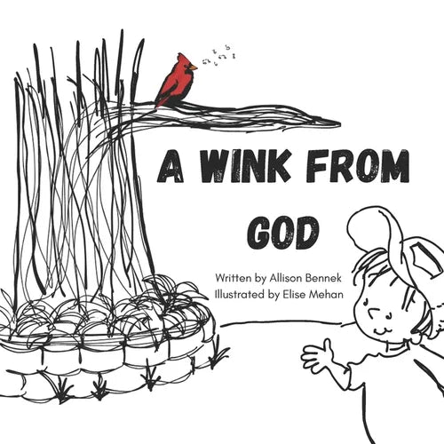 A Wink from God - Paperback