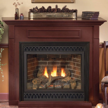 White Mountain Hearth (Empire) Tahoe 36-Inch Propane Gas Direct Vent Deluxe Fireplace [DVD36FP] (SAK67105)