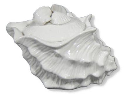White Shell Tea & Serving Pieces