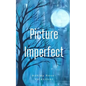 Picture Imperfect - Paperback