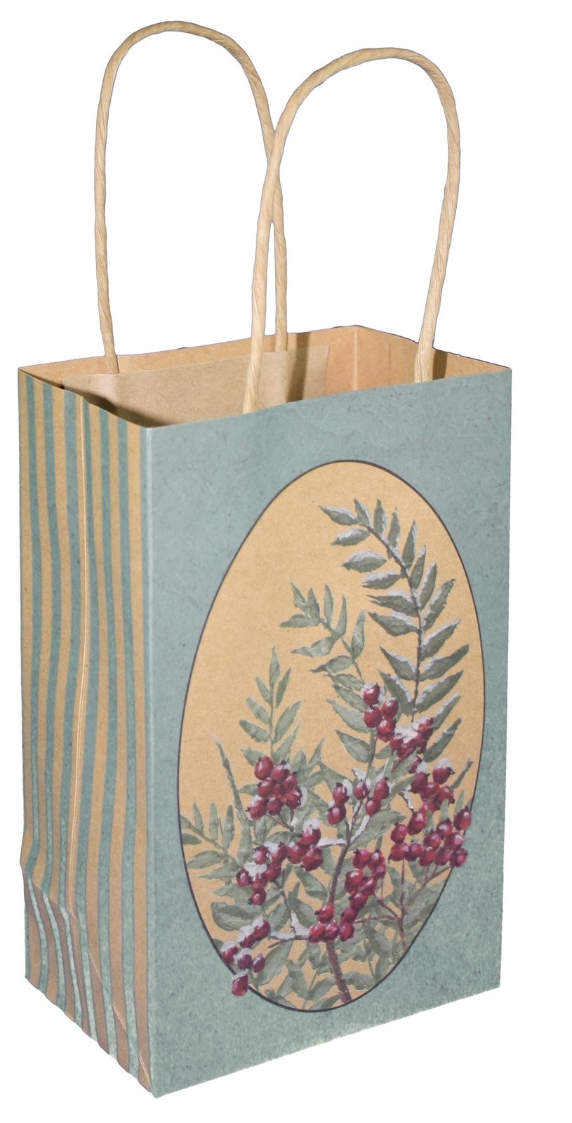 Paper Images Kraft Gift Bag - Berries Jr Cub