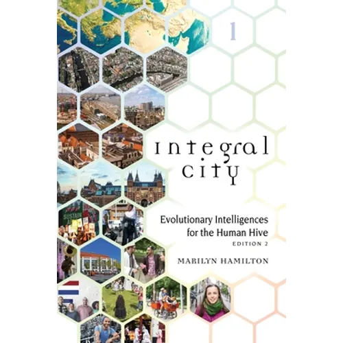 Integral City: Evolutionary Intelligences for the Human Hive - Paperback