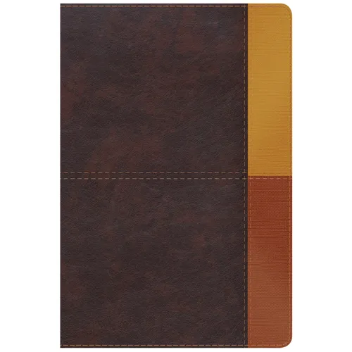 Rvr 1960 Biblia de Estudio Arcoiris, Cocoa/ Terracota Símil Piel - Imitation Leather