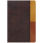 Rvr 1960 Biblia de Estudio Arcoiris, Cocoa/ Terracota Símil Piel - Imitation Leather