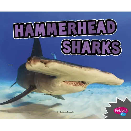 Hammerhead Sharks - Paperback