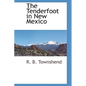 The Tenderfoot in New Mexico - Hardcover