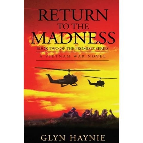 Return To The Madness: A Vietnam War Novel - Paperback