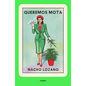 Queremos Mota / We Want Weed - Paperback