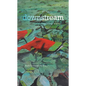 Downstream: Reimagining Water - Paperback