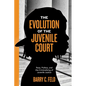 The Evolution of the Juvenile Court: Race, Politics, and the Criminalizing of Juvenile Justice - Hardcover